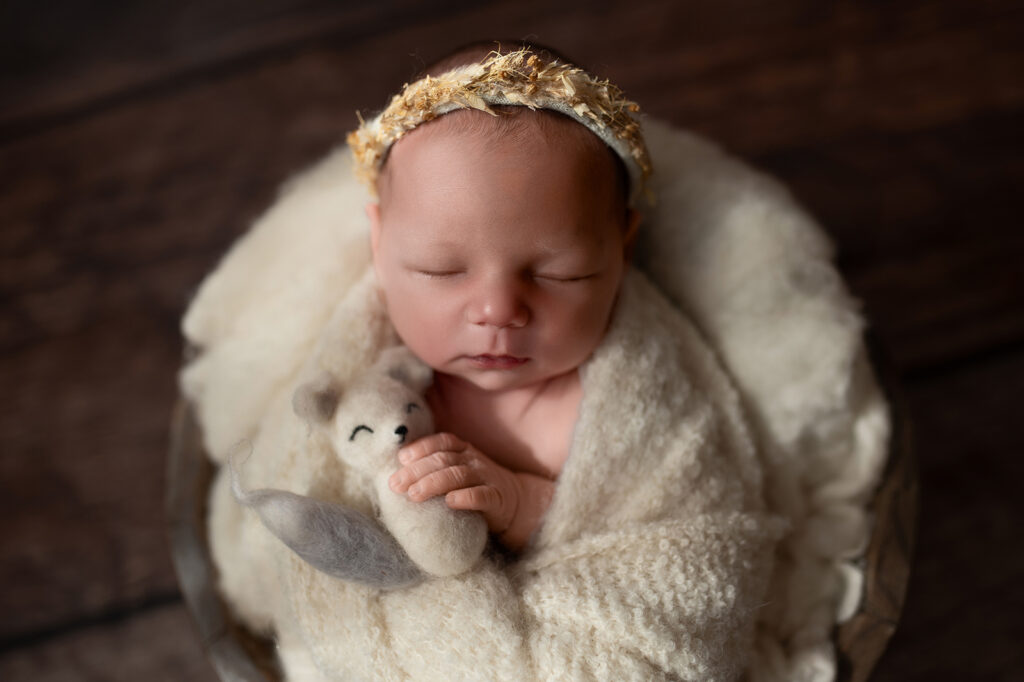 Photographe naissance Rennes